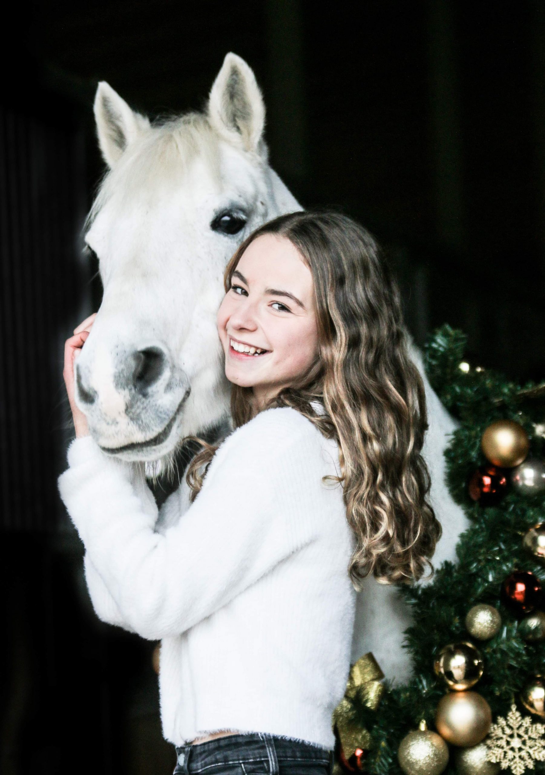 Christmas Horses